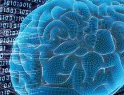 В Европе запустили проект Human Brain Project