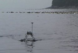 Роботы остановят медуз на пути к побережью