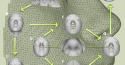 Ученые смогли воссоздать 3D модель лица по ДНК