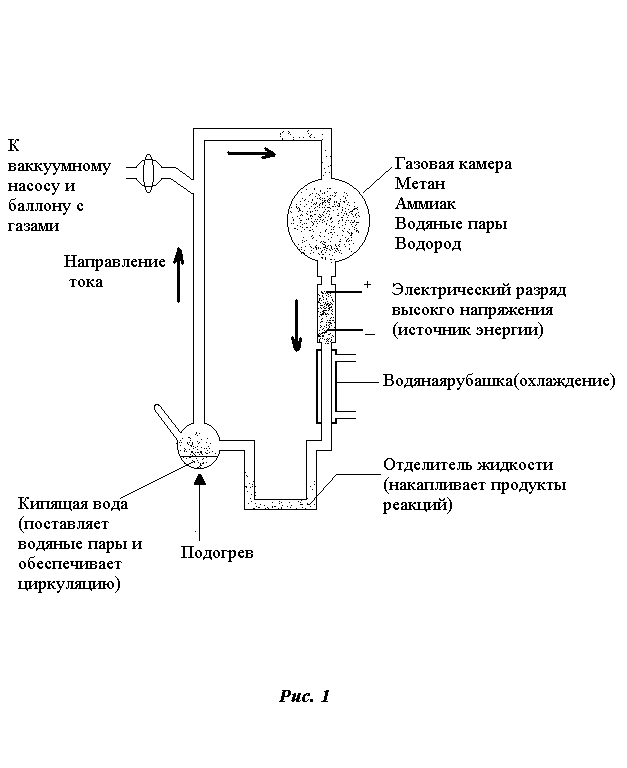 Направление газа. Биохимическая Эволюция. Гипотеза биохимической эволюции. Газовоздушная камера биология.