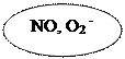 : NO, O2 -
