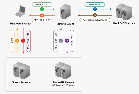   DNS