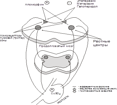 Рвотный рефлекс мозг. Схема рвотного рефлекса. Рвотный рефлекс схема. Пусковая зона рвотного центра. Хеморецепторной триггерной зоны.
