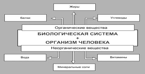 : http://culture.mchs.gov.ru/upload/learning/img/Les7/guinkl.JPG