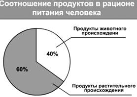 : http://culture.mchs.gov.ru/upload/learning/img/Les8/4t5jhmn%20.JPG