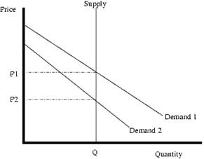 Diagram of vertical supply curve
