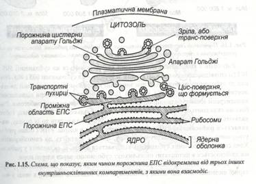 : C:\Documents and Settings\\ \ \\ 040.jpg