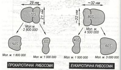 : C:\Documents and Settings\\ \ \\ 041.jpg