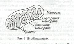 : C:\Documents and Settings\\ \ \\ 045.jpg