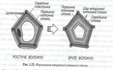 : C:\Documents and Settings\\ \ \\ 050.jpg