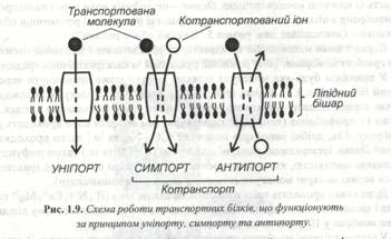 : C:\Documents and Settings\\ \ \\ 033.jpg