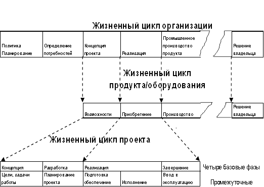 Жизненный цикл проекта курсовая