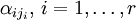 \alpha_{ij_i},\, i=1,\ldots,r\!