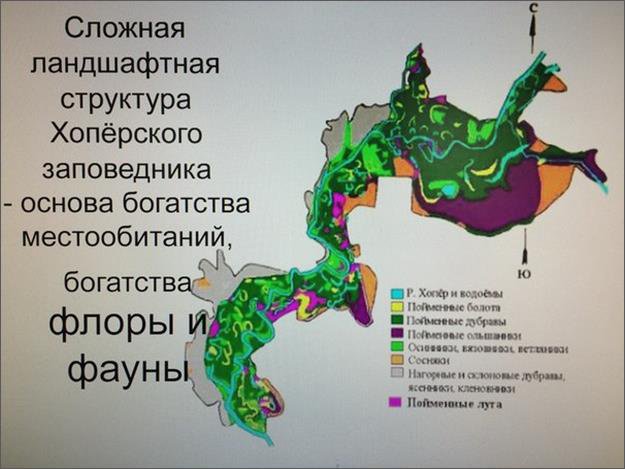 Реферат: Хімічний склад води відкритих водойм Зарічненського району